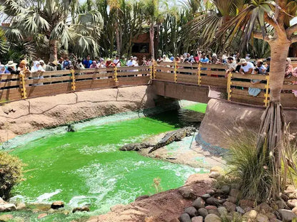 Agadir: Crocoparc and Tree-Climbing Goats Shared Trip