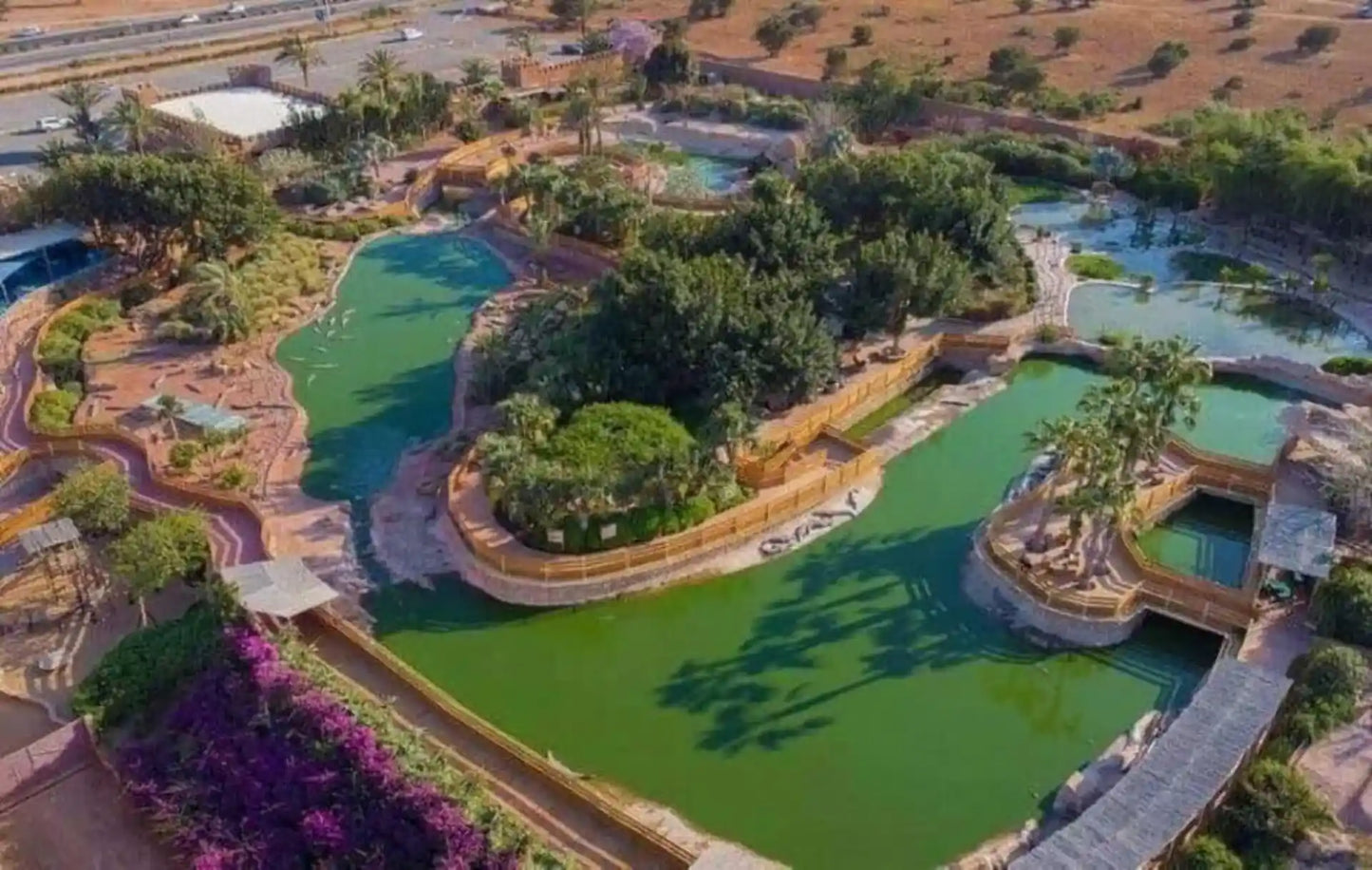 Agadir: Crocoparc and Tree-Climbing Goats Shared Trip