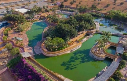 Agadir: Crocoparc and Tree-Climbing Goats Shared Trip