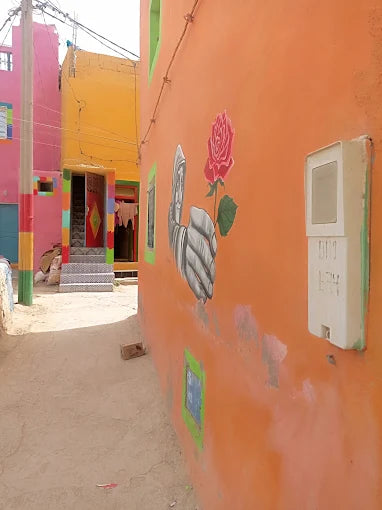 Agadir: Hidden Canyon and Akgroud Village Guided Tour with Optional Camel Ride