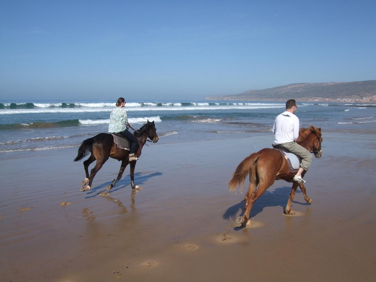 Agadir: Horse Riding, Sandboarding and Canyon Guided Tour