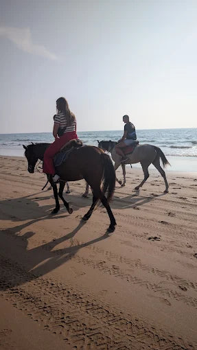 Agadir: Horse Riding, Sandboarding and Canyon Guided Tour