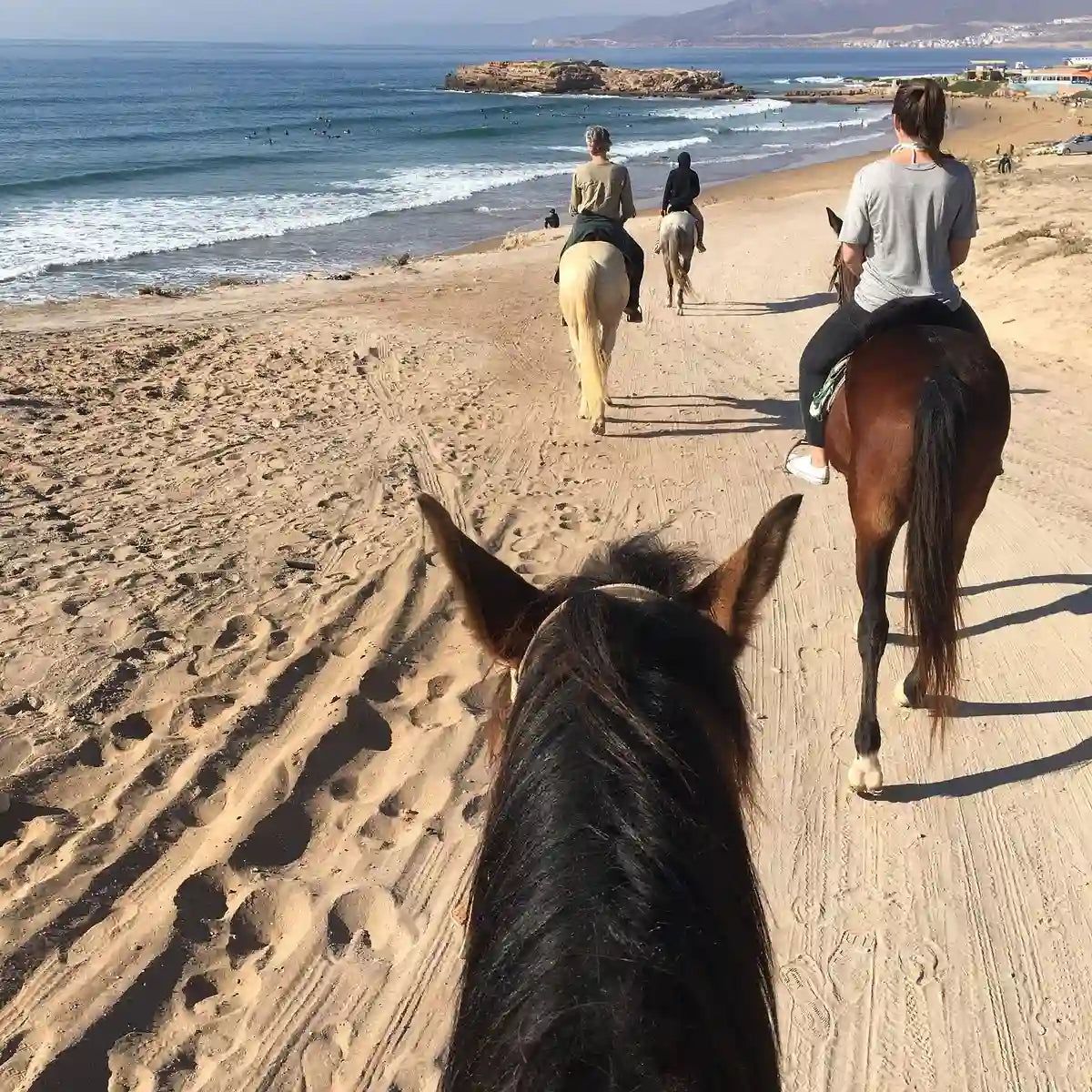 Agadir: Horse Riding, Sandboarding and Canyon Guided Tour