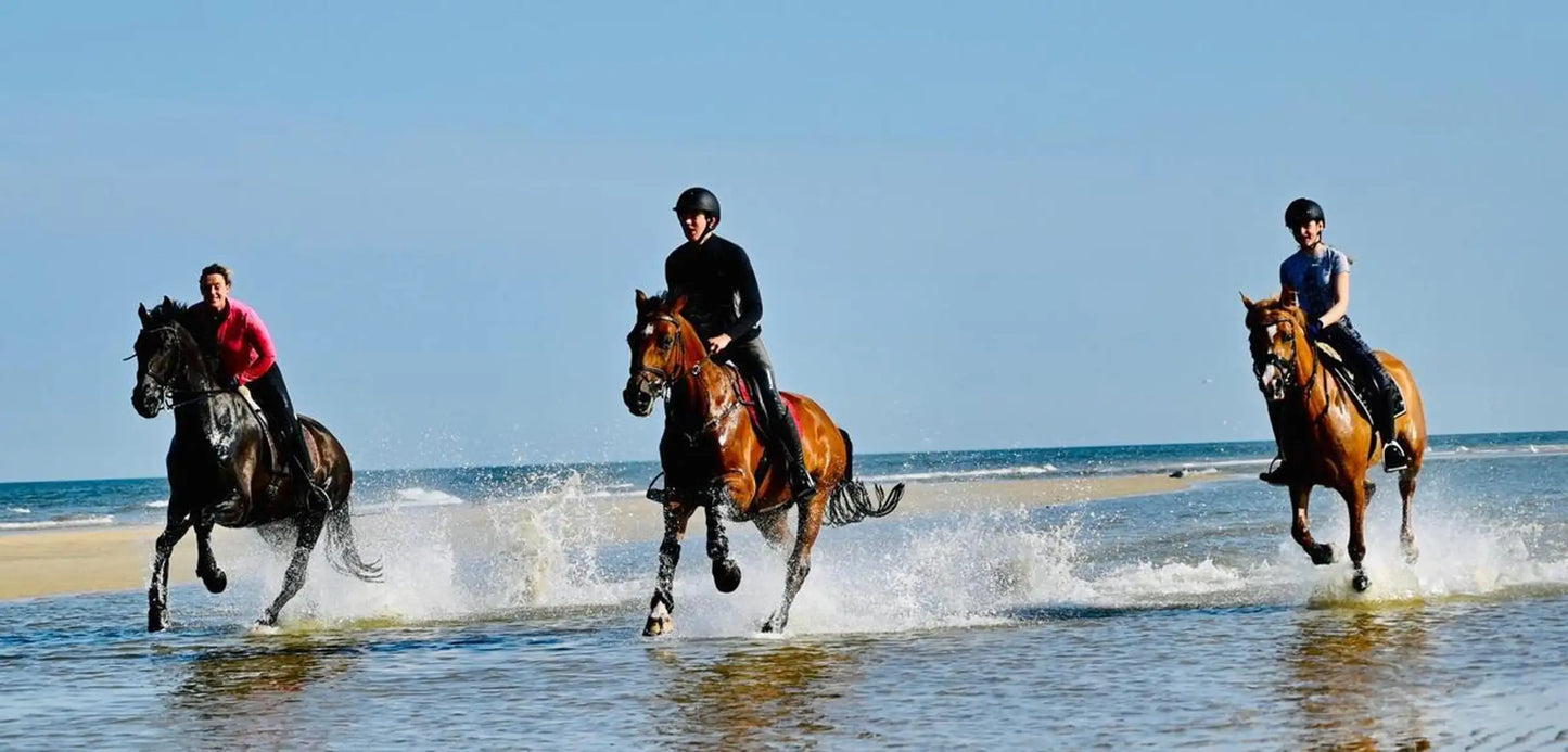 Agadir: Horse Riding, Sandboarding and Canyon Guided Tour