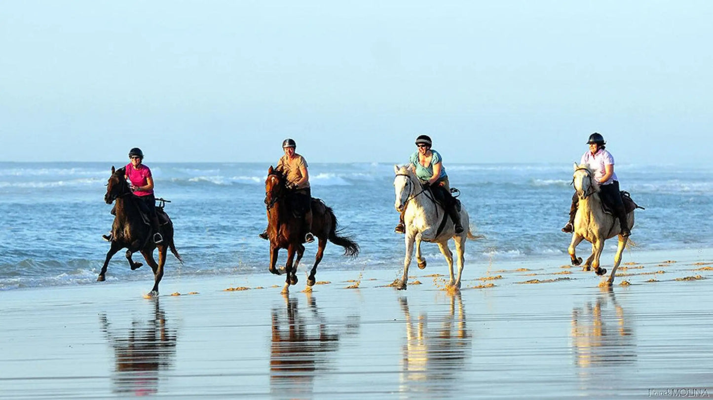 Agadir: Horse Riding, Sandboarding and Canyon Guided Tour
