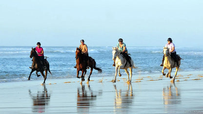 Agadir: Horse Riding, Sandboarding and Canyon Guided Tour