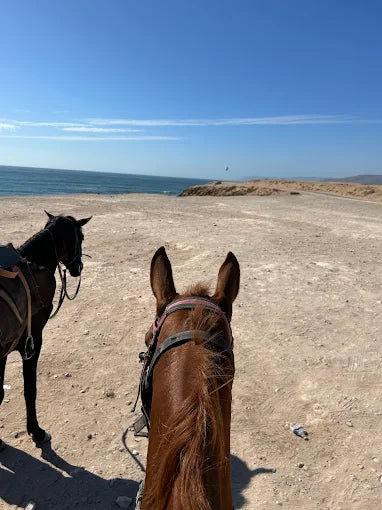 Agadir: Horse Riding, Sandboarding and Canyon Guided Tour