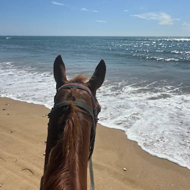 Agadir: Horse Riding, Sandboarding and Canyon Guided Tour