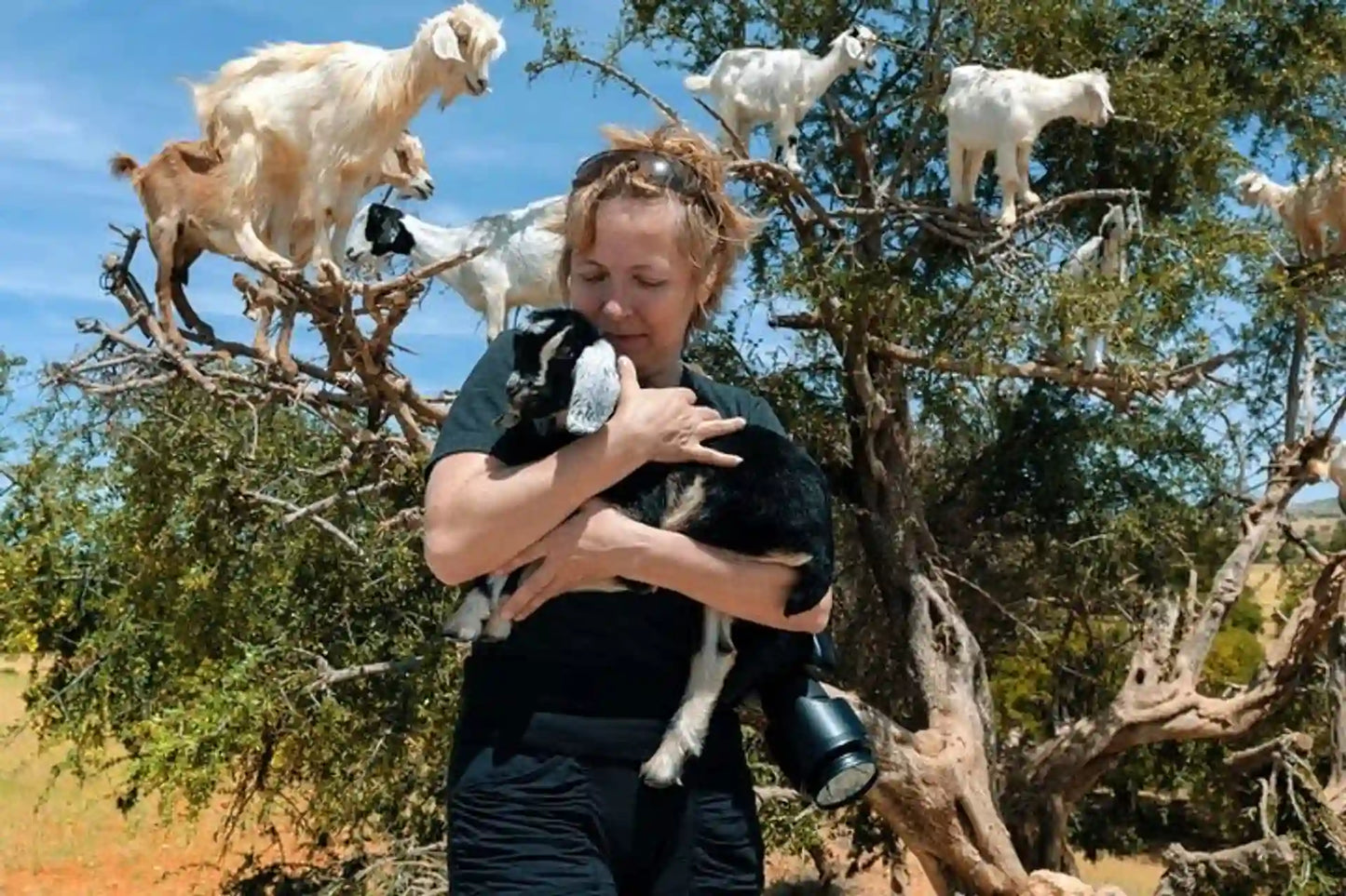 Agadir: Crocoparc and Tree-Climbing Goats Shared Trip