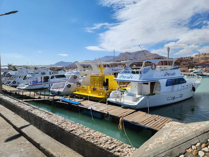 Ain El Sokhna: Passeio Privado de Barco Panorama com Mergulho com Snorkel, Almoço e Refrigerantes