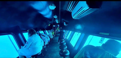 艾因苏赫纳：皇家 Seascope 半潜式玻璃观光船之旅