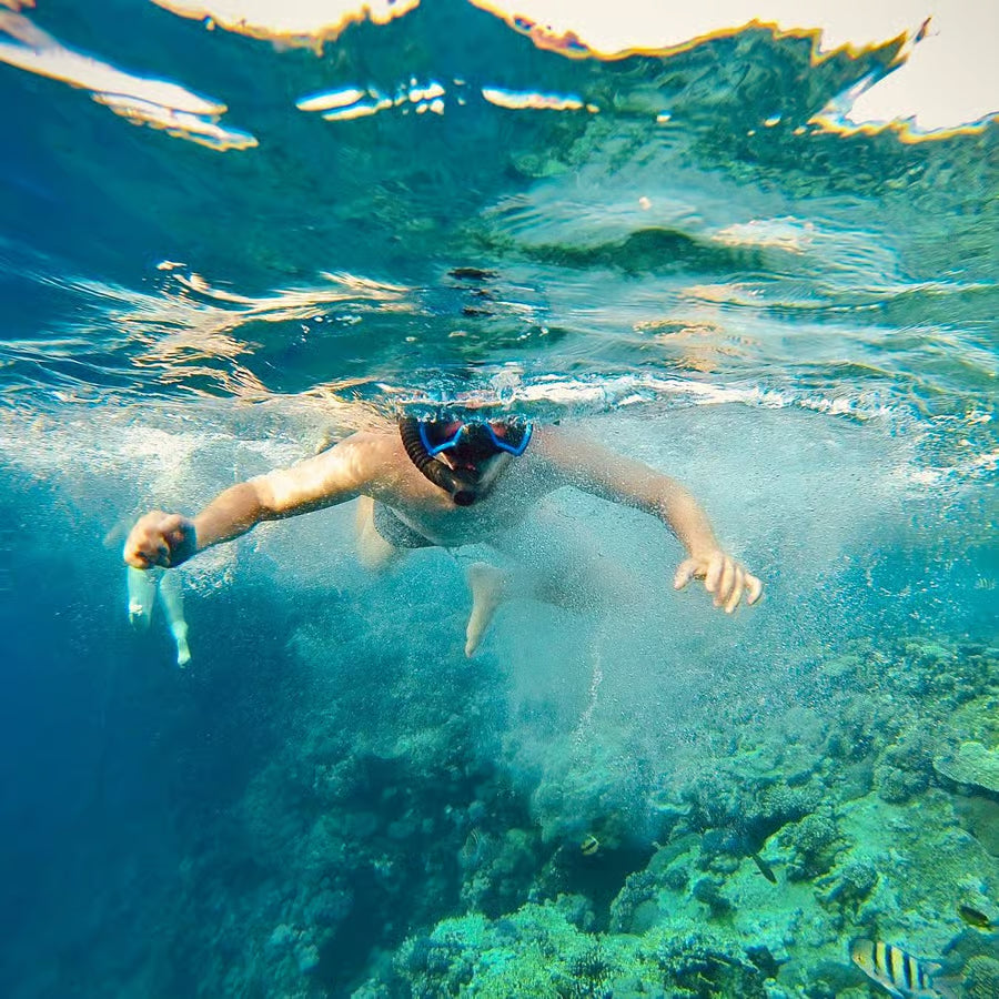 Aïn el-Sokhna : Croisière en bateau de snorkeling de luxe avec déjeuner