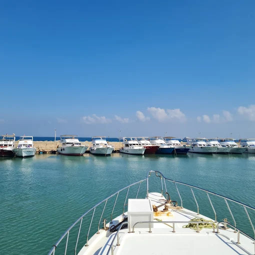 Aïn el-Sokhna : Croisière en bateau de snorkeling de luxe avec déjeuner