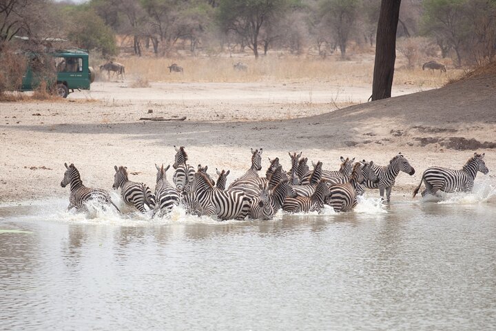 Arusha: 6-tägige private Safari in die Serengeti, zum Ngorongoro-Krater und nach Tarangire