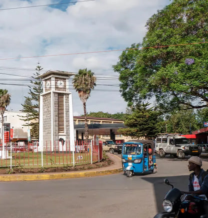 Arusha: Geführte Stadttour mit kulturellen Highlights