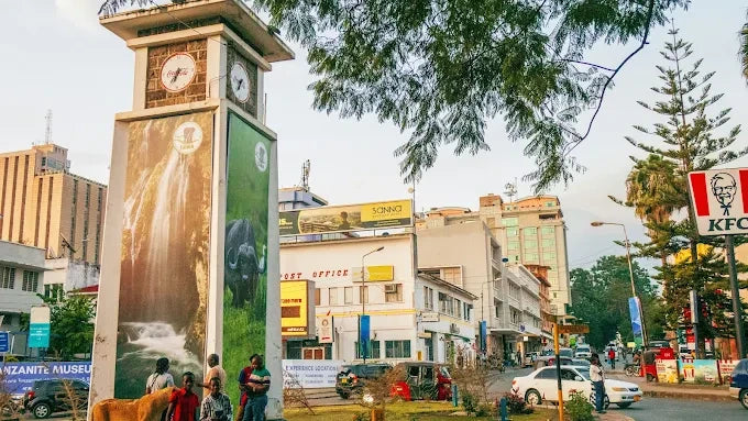 Arusha: Geführte Stadttour mit kulturellen Highlights