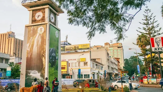 Arusha: Geführte Stadttour mit kulturellen Highlights