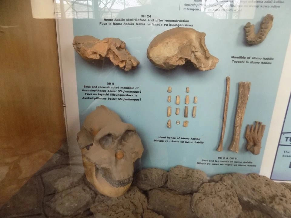 Arusha: Geführte Stadttour mit kulturellen Highlights
