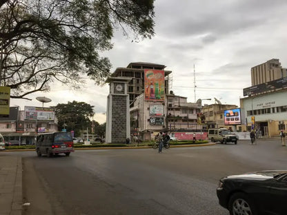 Arusha: Geführte Stadttour mit kulturellen Highlights