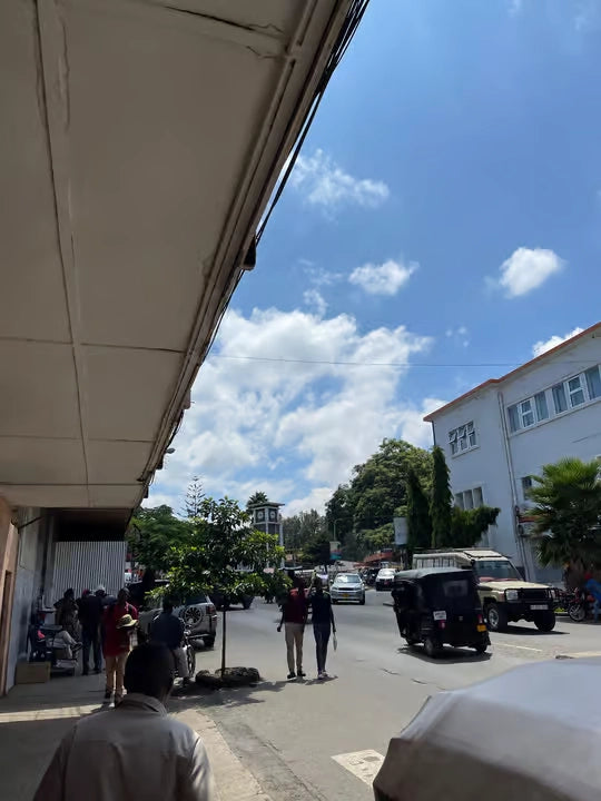 Arusha: Geführte Stadttour mit kulturellen Highlights