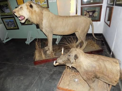 Arusha: Geführte Stadttour mit kulturellen Highlights
