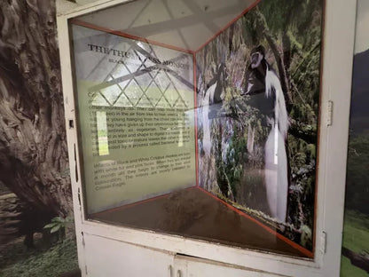 Arusha: Geführte Stadttour mit kulturellen Highlights