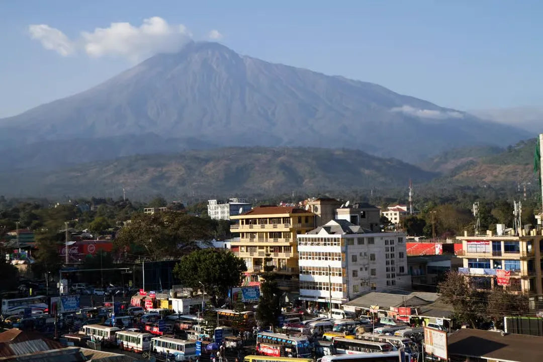 Arusha: Geführte Stadttour mit kulturellen Highlights