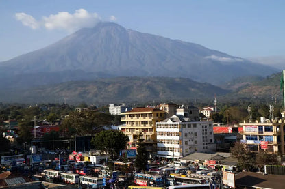 Arusha: Geführte Stadttour mit kulturellen Highlights