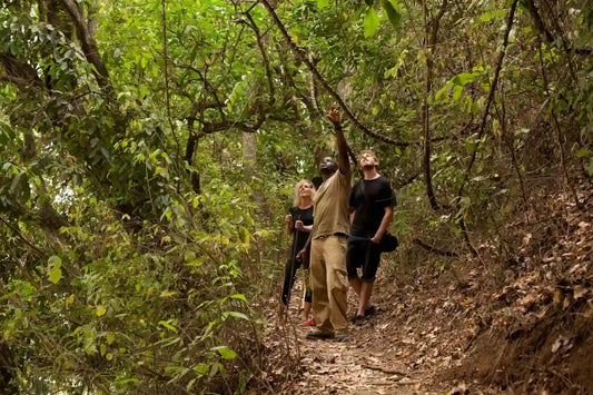 Zanzibar : visite privée de la forêt de Jozani, de la grotte de Kuza et de la plage de Paje