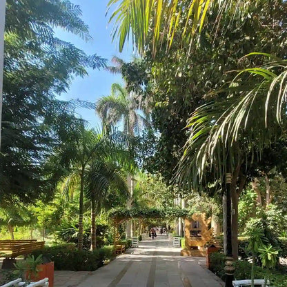 Aswan: Private Nubian Village and Botanical Garden trip