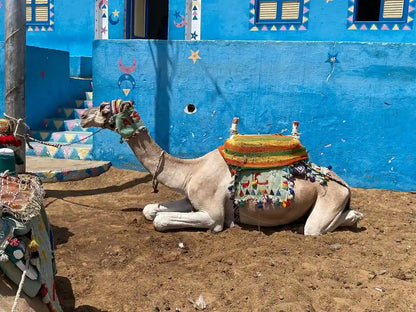 أسوان: جولة إرشادية في القرية النوبية وركوب قارب آلي في نهر النيل
