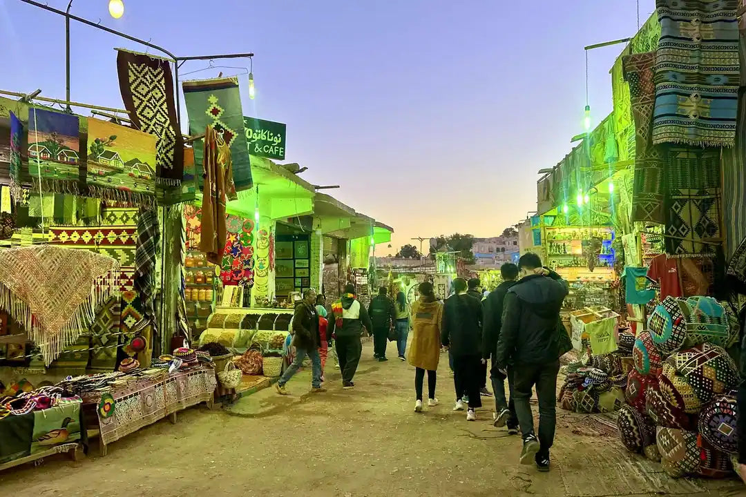 Aswan: Tur Pribadi Desa Nubia