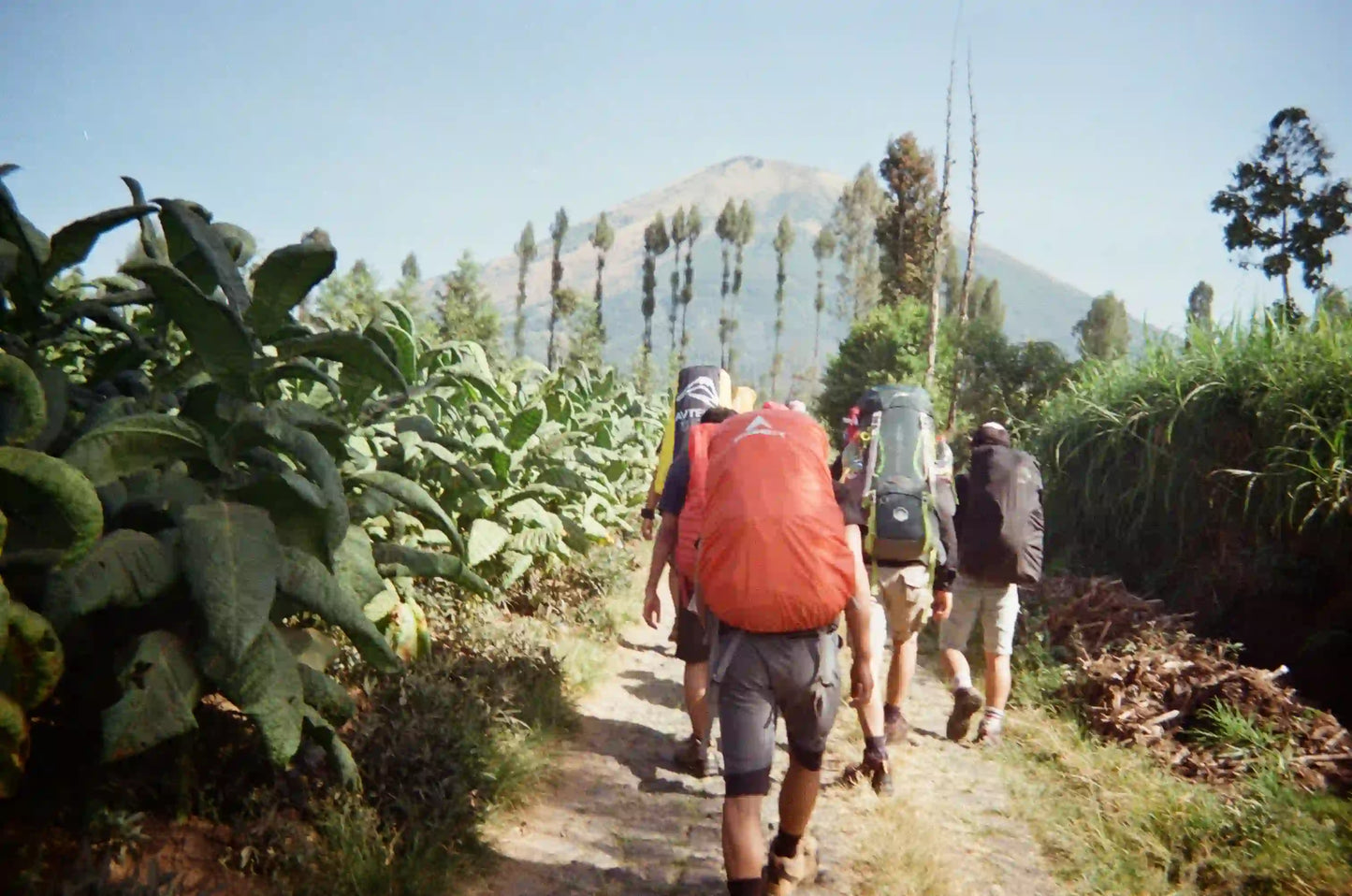 Bali: Guidad vandringstur vid soluppgången på Mount Agung