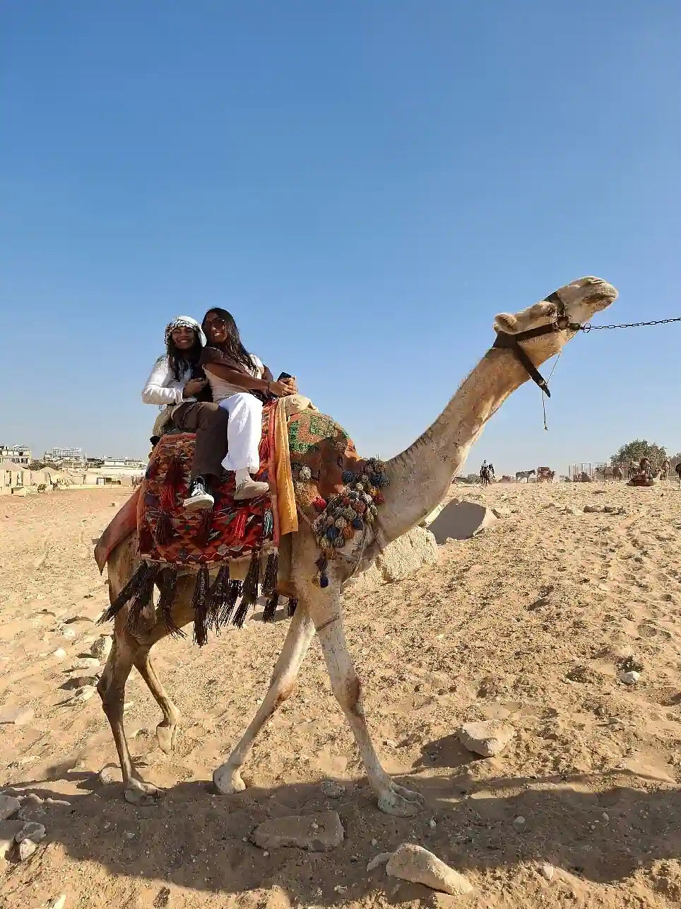 Kairo: Nikmati Pengalaman Naik Unta di Piramida Giza