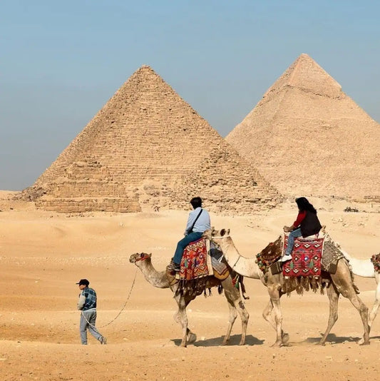 Cairo: Experience Camel riding by Giza Pyramids