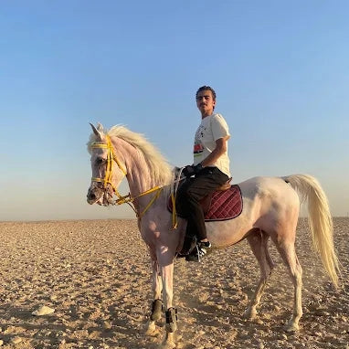 Cairo: Experience Horse riding by Giza Pyramids