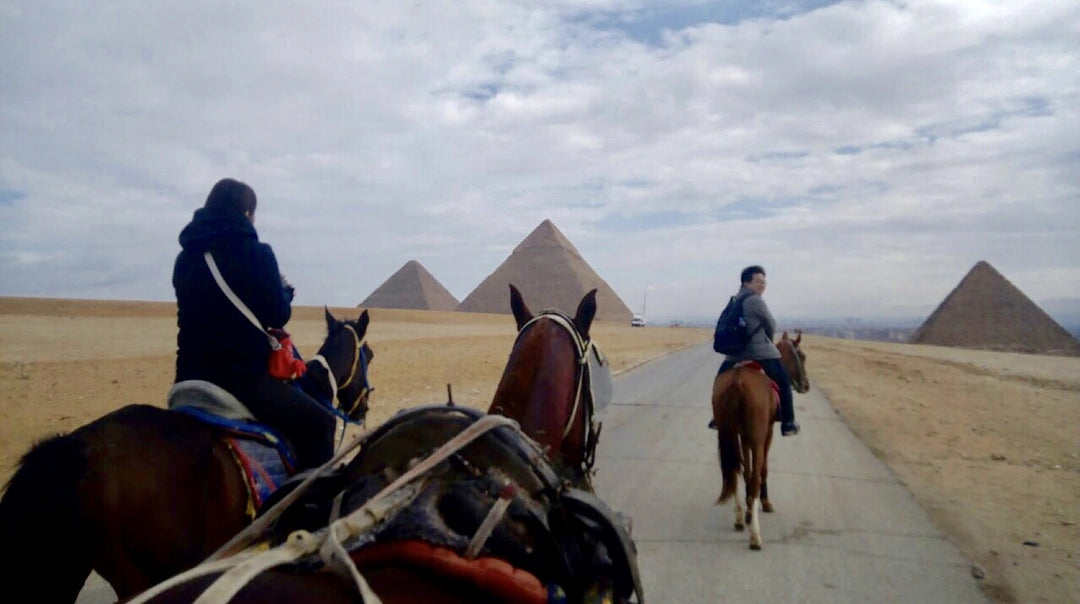 Cairo: Experience Horse riding by Giza Pyramids