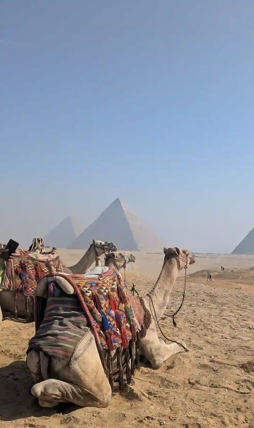 Каир: экскурсия с гидом к пирамидам Гизы, Сфинксу, Саккаре и Мемфису