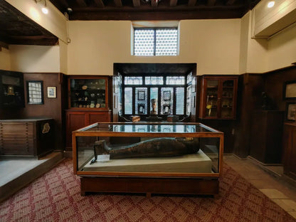 Il Cairo: tour guidato del Palazzo Manial e della Moschea di Ibn Tulun