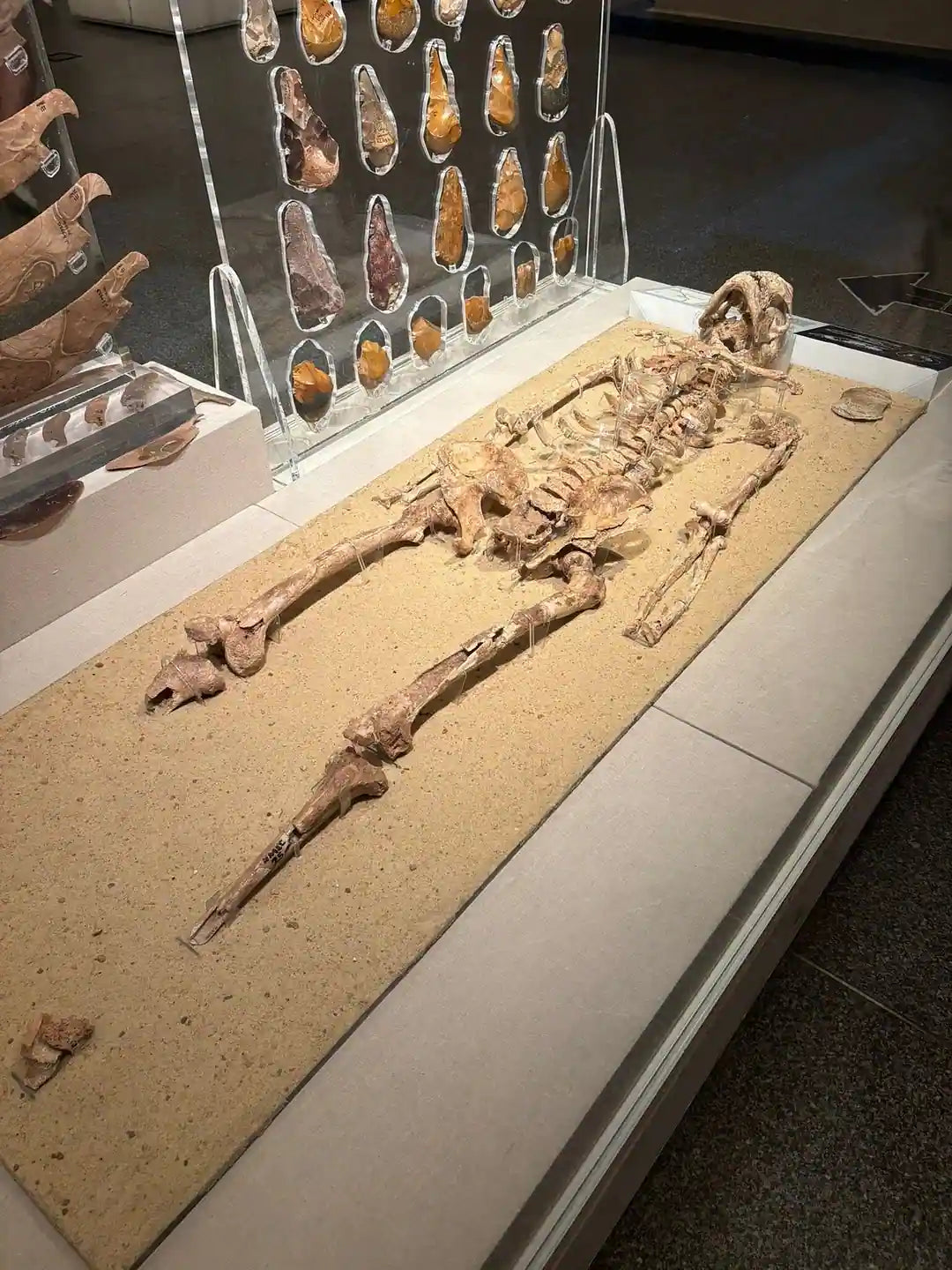 开罗：埃及文明国家博物馆与吉萨金字塔私人VIP之旅