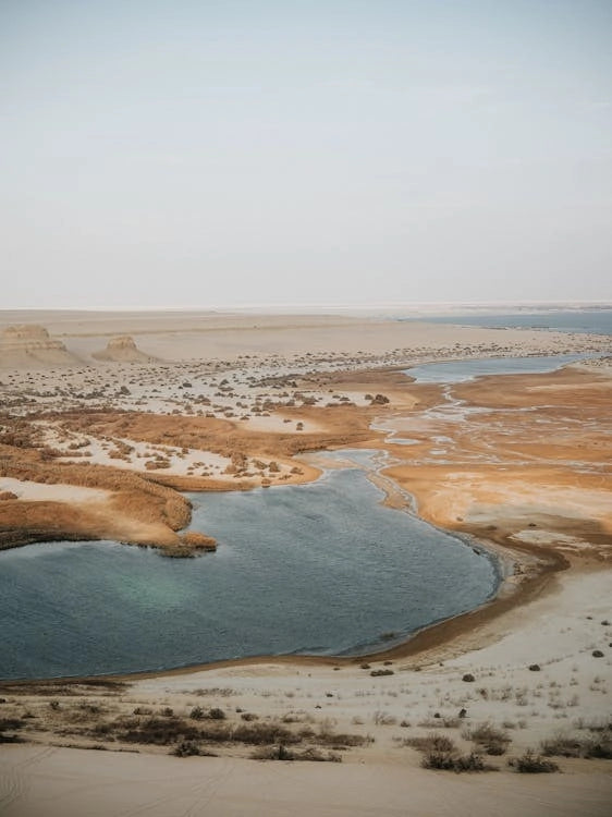 De Cairo: Excursão Particular Guiada de um Dia ao Oásis de Fayoum com Safari no Deserto