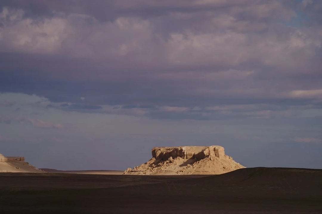 De Cairo: Excursão Particular Guiada de um Dia ao Oásis de Fayoum com Safari no Deserto