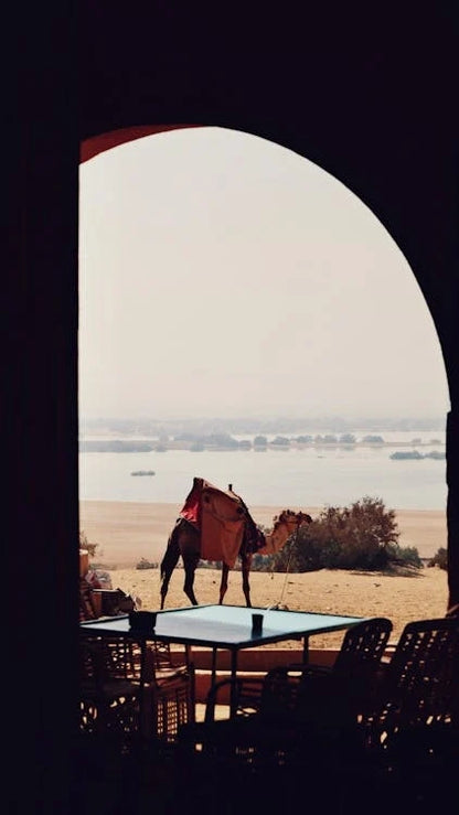 De Cairo: Excursão Particular Guiada de um Dia ao Oásis de Fayoum com Safari no Deserto