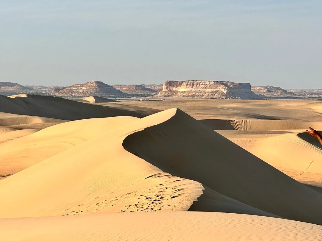 De Cairo: Excursão Particular Guiada de um Dia ao Oásis de Fayoum com Safari no Deserto
