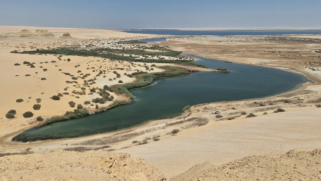 De Cairo: Excursão Particular Guiada de um Dia ao Oásis de Fayoum com Safari no Deserto