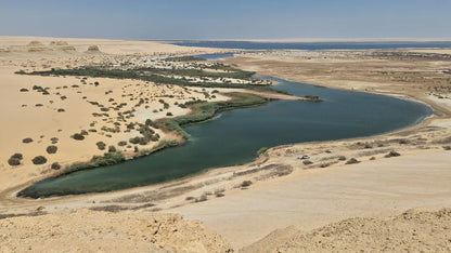 De Cairo: Excursão Particular Guiada de um Dia ao Oásis de Fayoum com Safari no Deserto