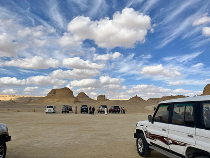 De Cairo: Excursão Particular Guiada de um Dia ao Oásis de Fayoum com Safari no Deserto