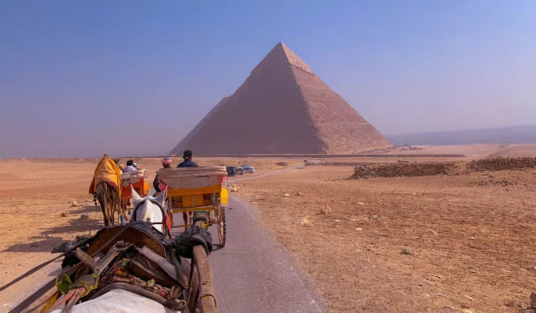 Le Caire : visite privée d'une demi-journée des pyramides en balade à dos de chameau ou en calèche