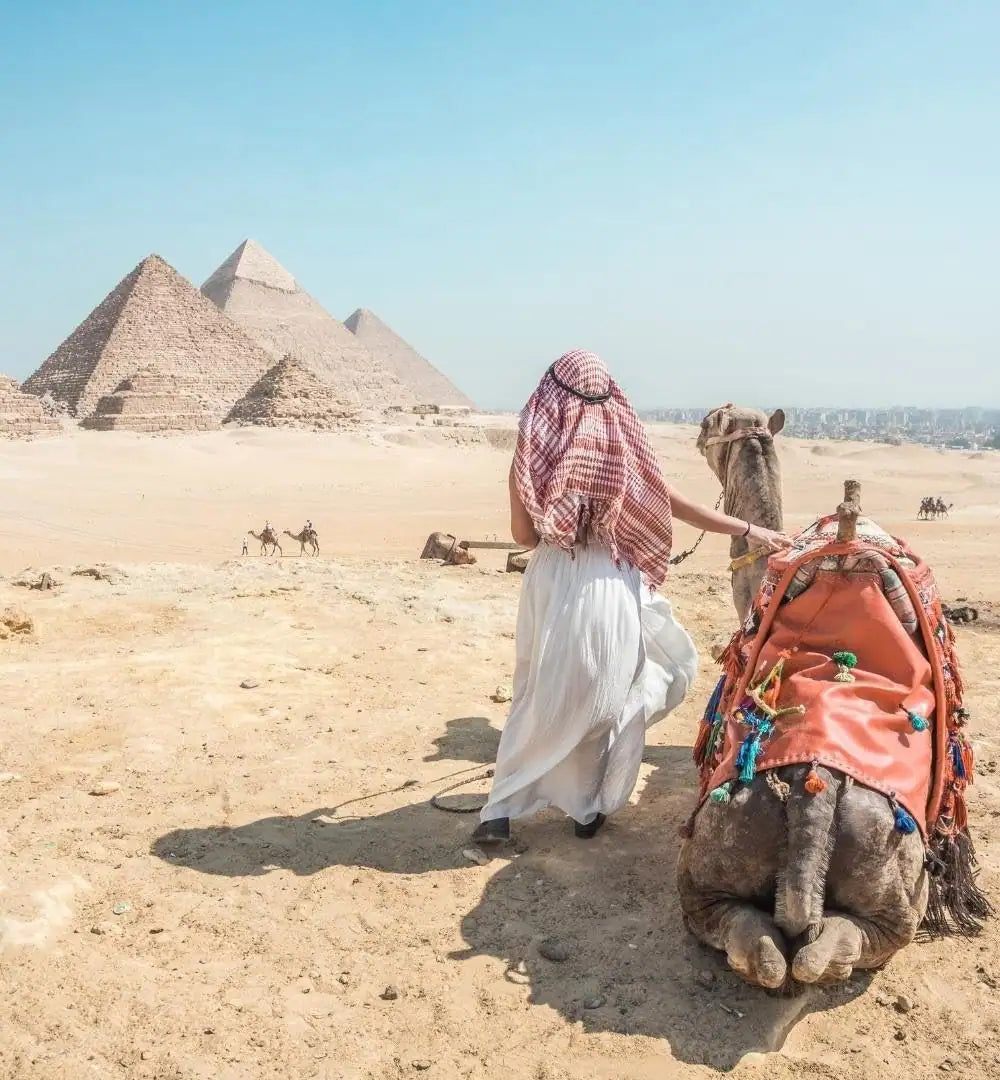 Le Caire : visite privée d'une demi-journée des pyramides en balade à dos de chameau ou en calèche