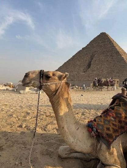 Le Caire : visite privée d'une demi-journée des pyramides en balade à dos de chameau ou en calèche